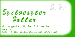 szilveszter holler business card